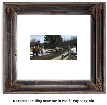 horseback riding near me in Wolf Trap, Virginia